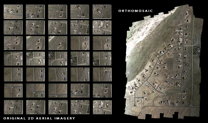 orthomosaic