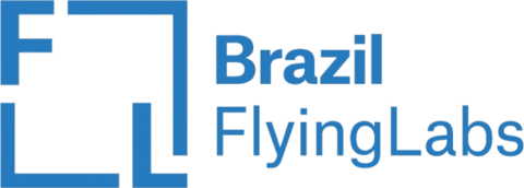 Logo Brazil Flying Labs